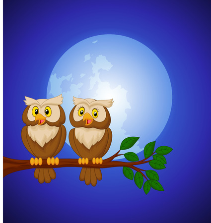 Couple owl cartoon at nightのイラスト素材