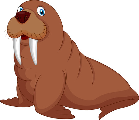 Cartoon walrusのイラスト素材