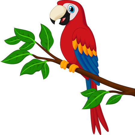 Cartoon red parrot on a branchのイラスト素材