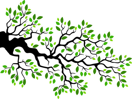 Green leaf tree branch cartoonのイラスト素材