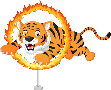 Cartoon tiger jumps through ring of fireのイラスト素材