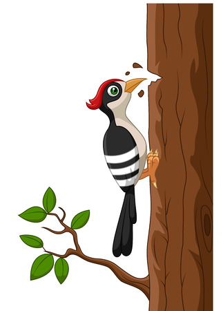 Cartoon woodpecker on a treeのイラスト素材