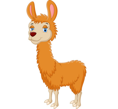 Cartoon cute llamaのイラスト素材
