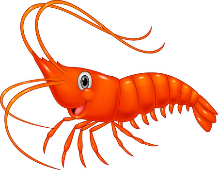 Cute cartoon shrimpのイラスト素材