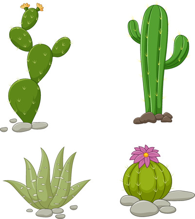 illustration of Collection of cactus illustrationのイラスト素材