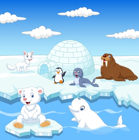 illustration of Arctics animals collection set with igloo ice houseのイラスト素材