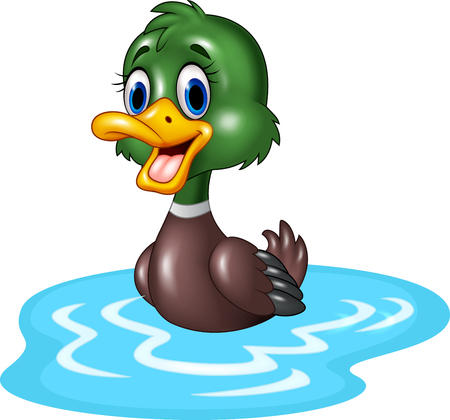 Vector illustration of Cartoon duck floats on waterのイラスト素材
