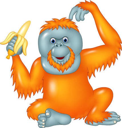 Vector illustration of Cartoon funny orangutan eating banana isolated on white backgroundのイラスト素材
