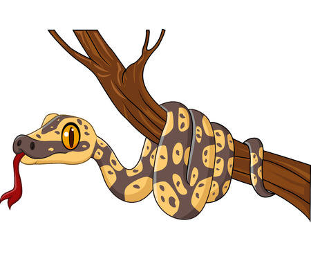 Vector illustration of Cartoon snake on a tree branchのイラスト素材