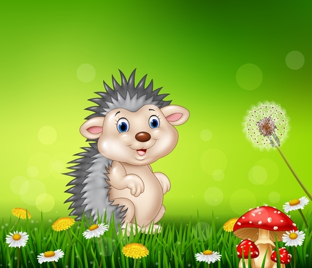 Vector illustration of Cute little hedgehog on grass backgroundのイラスト素材