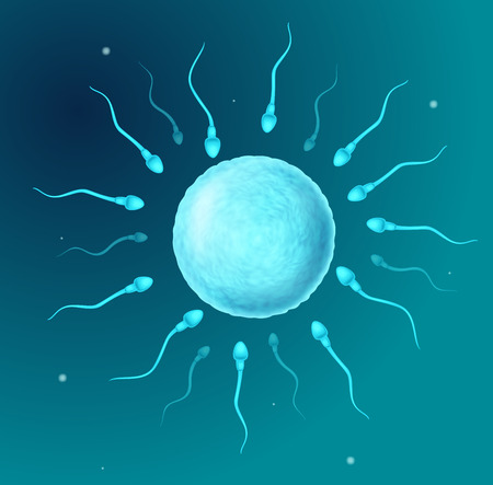 Vector illustration of Cartoon perms going to the ovuleのイラスト素材