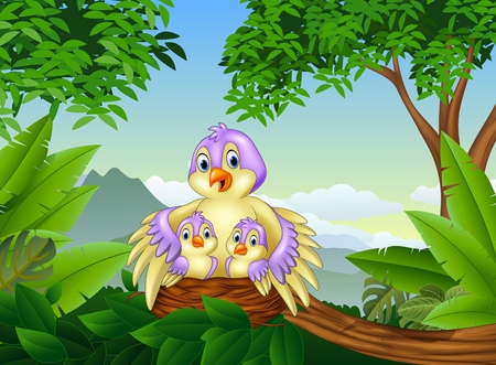 illustration of Mother bird with her two babies in the nestのイラスト素材
