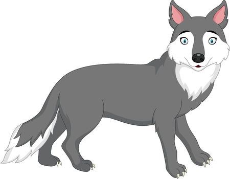 Vector illustration of Cartoon wolf isolated on white backgroundのイラスト素材
