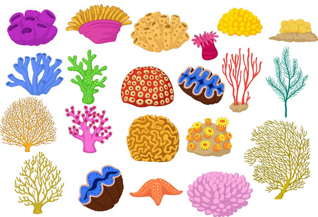 Vector illustration of Set of colorful corals, clamp and starfishのイラスト素材