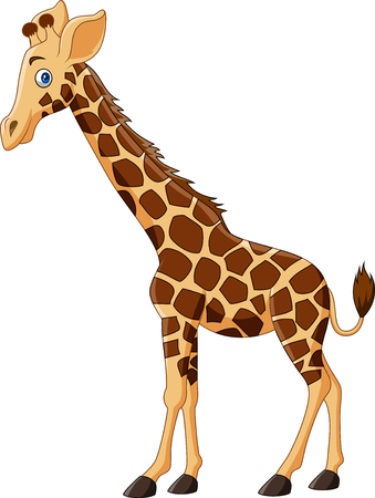 Vector illustration of cartoon giraffe isolated on white backgroundのイラスト素材