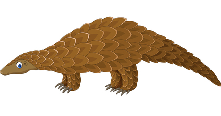 Vector illustration of cartoon pangolin isolated on white backgroundのイラスト素材