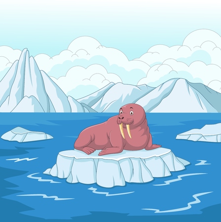 Vector illustration of Cartoon walrus on ice floeのイラスト素材