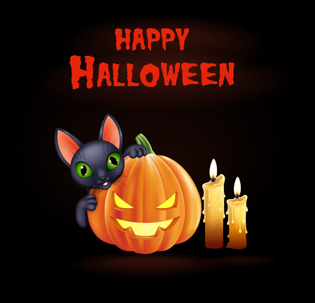 Vector illustration of Halloween background with black cat and pumpkinのイラスト素材