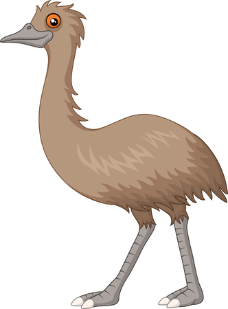 Cartoon emu isolated on white backgroundのイラスト素材