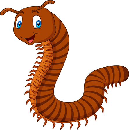 Cartoon happy millipedesのイラスト素材