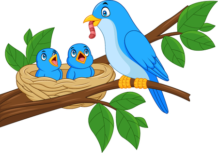 Mother blue bird feeding babies in a nestのイラスト素材