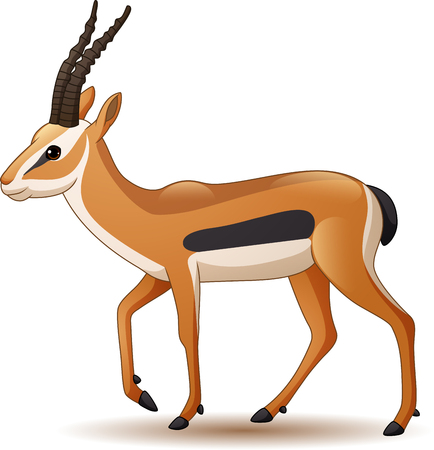 Vector illustration of Cartoon antelope isolated on whiteのイラスト素材