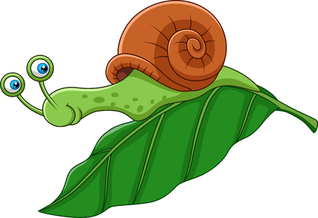 Vector illustration of Cartoon funny snail on a leafのイラスト素材