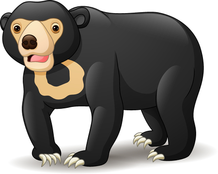 Vector illustration of sun bear isolated on whiteのイラスト素材