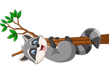 Vector illustration of Cartoon Raccoon on the tree branchのイラスト素材