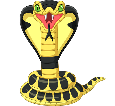 Vector illustration of Cartoon king cobra snake mascotのイラスト素材