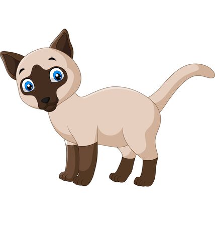 Vector illustration of Cartoon cute siamese cat on a white backgroundのイラスト素材