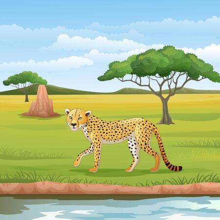 Vector illustration of Cartoon cheetah in the Savannahのイラスト素材