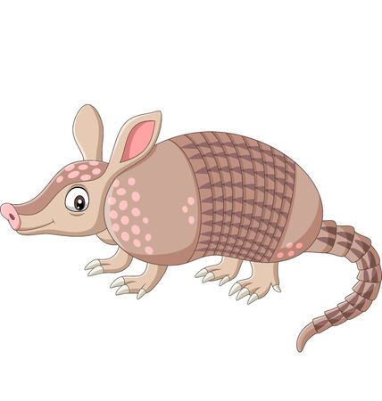 Vector illustration of Cartoon armadillo on white backgroundのイラスト素材