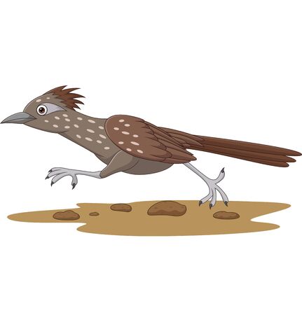 Vector illustration of Cartoon Roadrunner bird running on the roadのイラスト素材