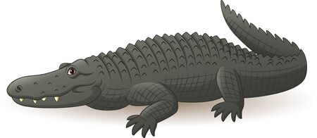 Vector illustration of Cartoon grey alligator isolated on whiteのイラスト素材