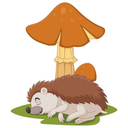 Cartoon little hedgehog sleeps under the mushroomのイラスト素材