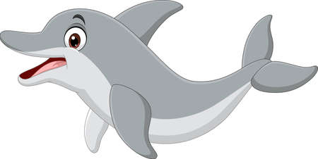 Cartoon funny dolphin on white backgroundのイラスト素材