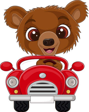 Cartoon baby bear driving red carのイラスト素材