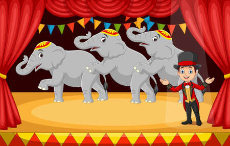 Cartoon circus tamer with elephants on stageのイラスト素材