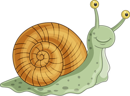 Cartoon snail isolated on white backgroundのイラスト素材