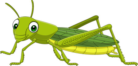 Cartoon grasshopper on white backgroundのイラスト素材