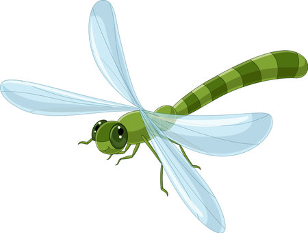 Cartoon funny dragonfly on white backgroundのイラスト素材