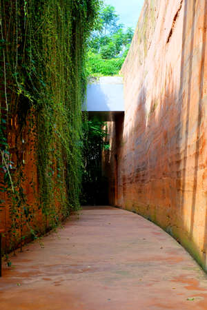 Path walk amid red brick walls and green trees 1の写真素材