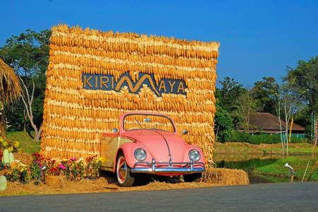 Head of a vintage car before maize sheath wall in garden on blue sky backgroundの写真素材