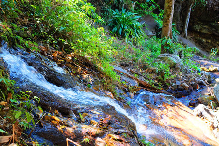 Waterfall in a forest on hill