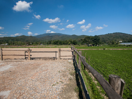 Horse training ground, located in the vegetable patch. And natural beauty