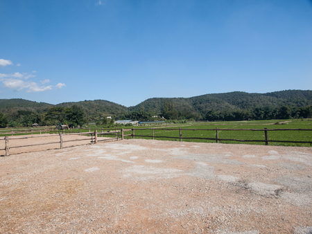 Horse training ground, located in the vegetable patch. And natural beautyの写真素材