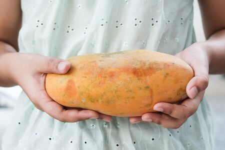 Papaya in the girl's handsの写真素材