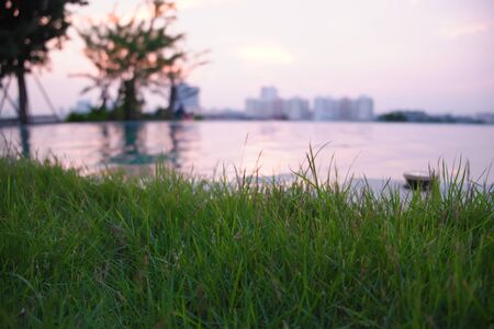 The lawn is planted beside the pool on a tall building. And near the river, with views of the cityscape at sunset.の写真素材
