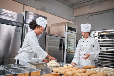 Two professional female chefs in white cook uniforms and aprons knead pastry dough and eggs, prepare bread, cookies, and fresh bakery food, baking in oven at a stainless steel kitchen of a restaurant.の写真素材